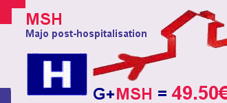 L’attribut alt de cette image est vide, son nom de fichier est MSH2.gif.